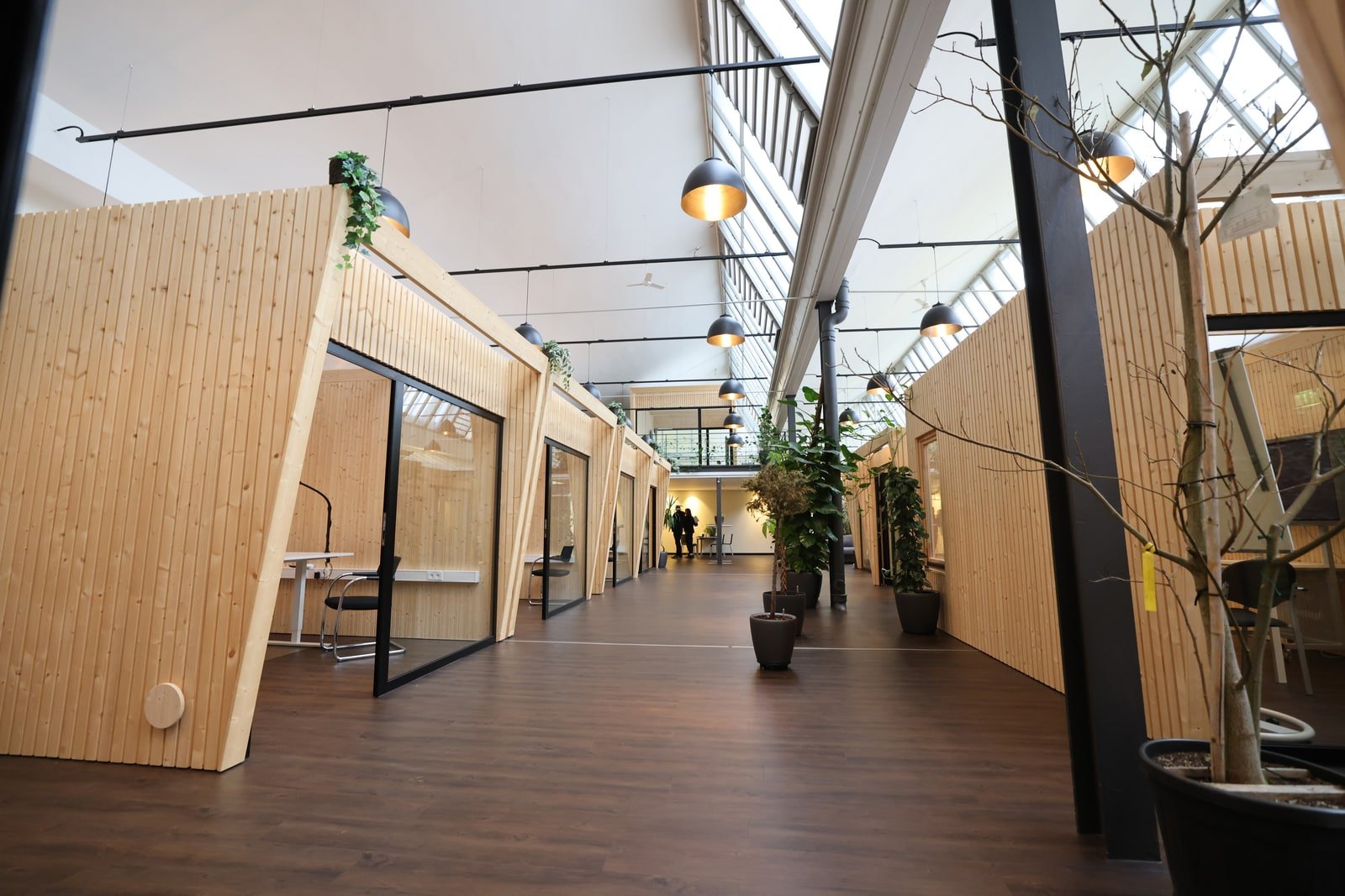 Gang zwischen den Bürowürfeln im Green Office, dunkler Holzboden, Pflanzen und Glasfronten