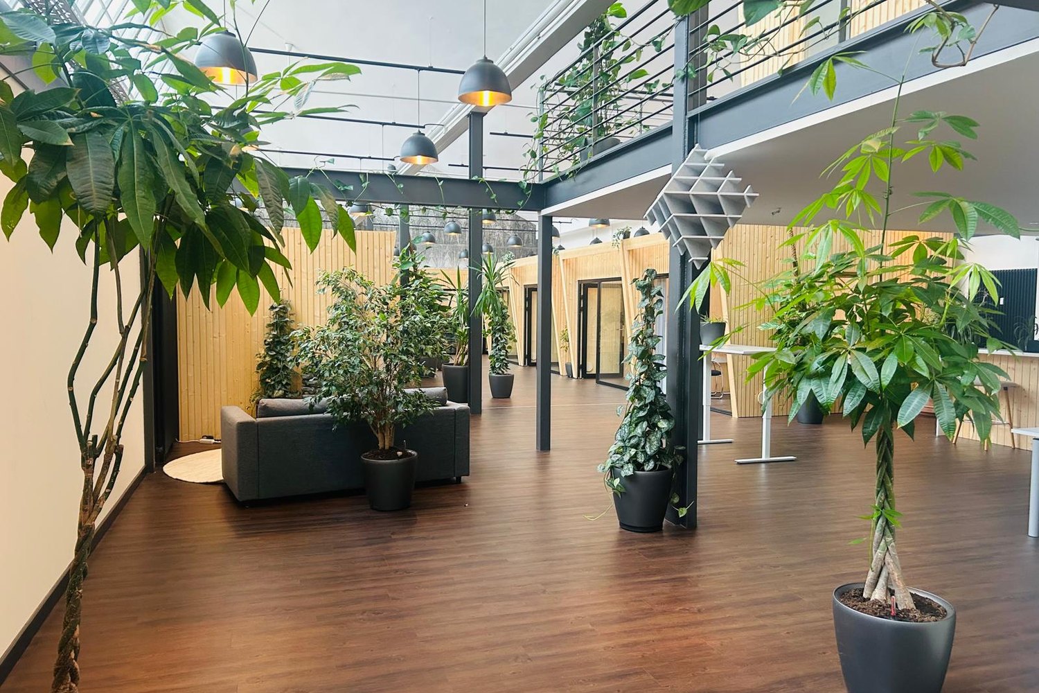 Eingangsbereich des Green Office mit Sofa, hellem Holz und vielen großen Grünpflanzen auf dunklem Holzboden